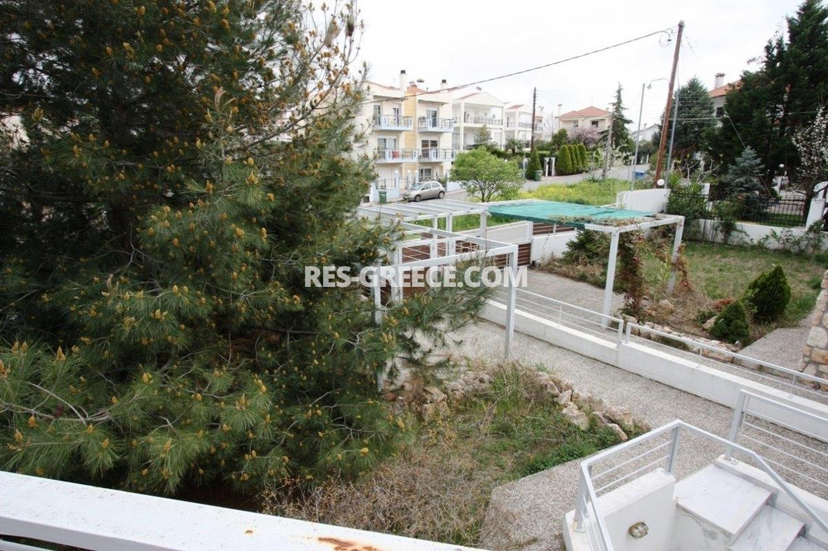 Surupo, Central Macedonia, Greece -  - Photo 9