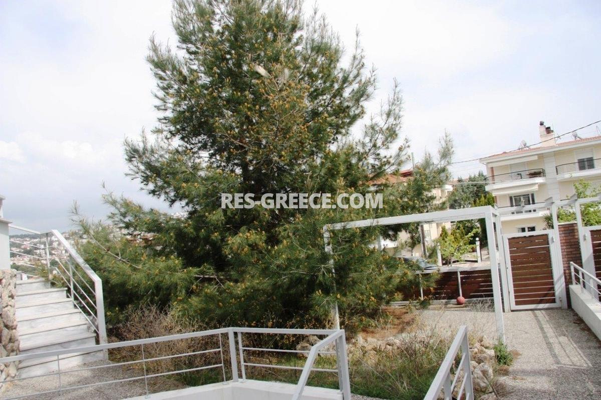 Surupo, Central Macedonia, Greece -  - Photo 20