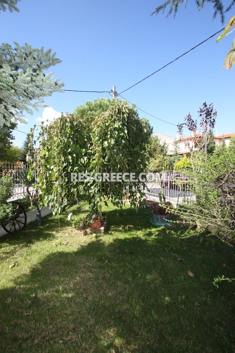 Korifi, Central Macedonia, Greece -  - Photo 25