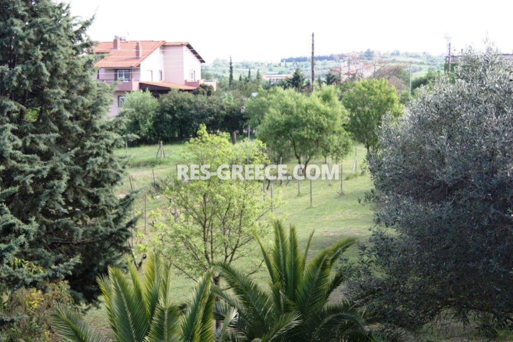 Sitari, Central Macedonia, Greece -  - Photo 19