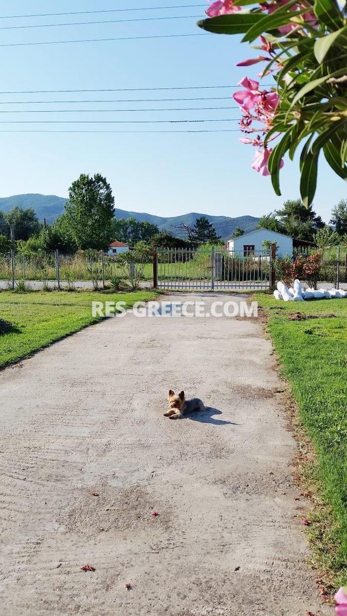 Land Plot Sikia, Halkidiki-Sithonia, Greece -  - Photo 9