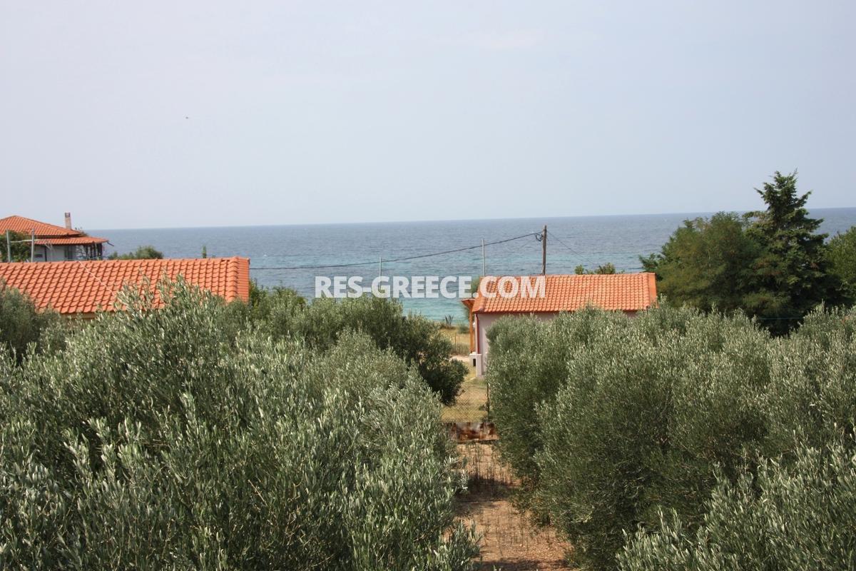 Stefani, Halkidiki-Kassandra, Greece -  - Photo 11