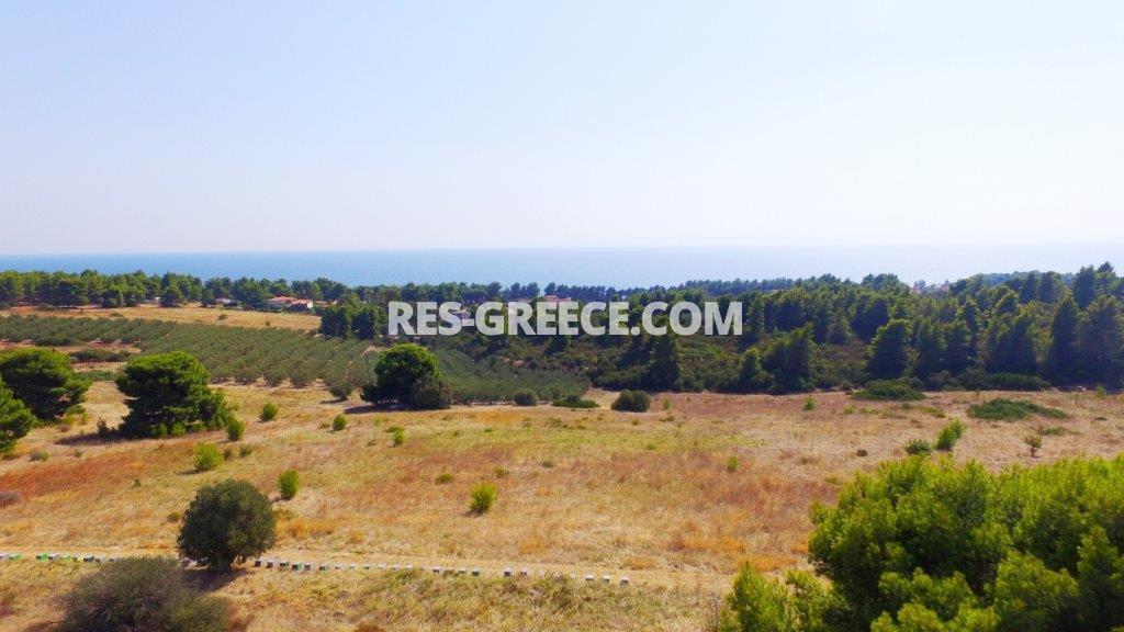 Land plot Metamorfosi, Halkidiki-Sithonia, Greece -  - Photo 8