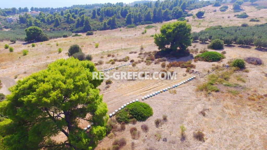 Land plot Metamorfosi, Halkidiki-Sithonia, Greece -  - Photo 10