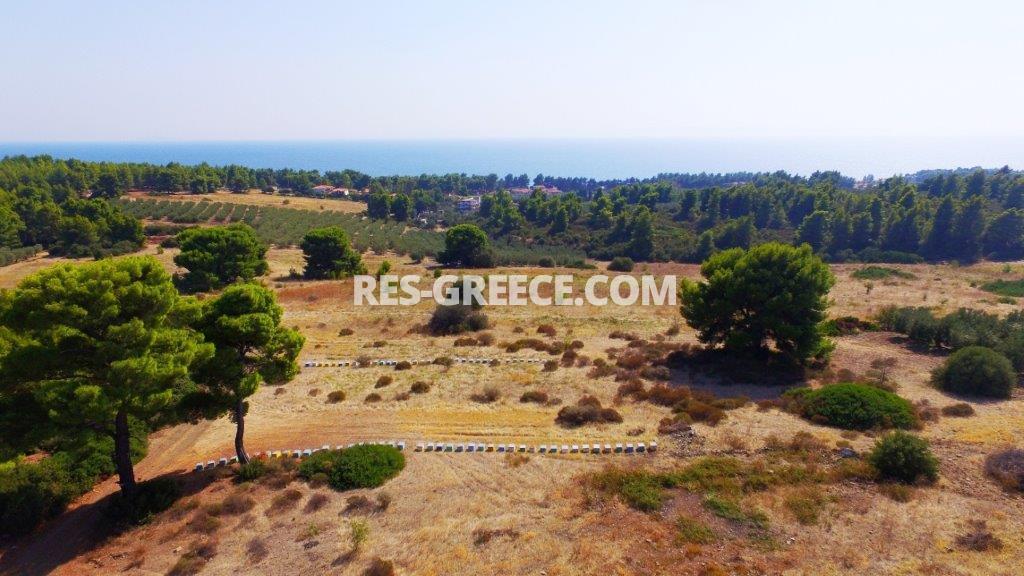 Land plot Metamorfosi, Halkidiki-Sithonia, Greece -  - Photo 14