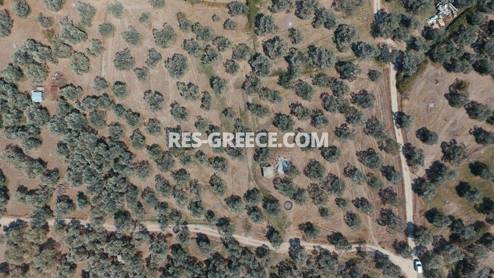 Plot Tassos 3, Northern Aegean Islands, Greece - Plot Tassos 3 - Photo 6