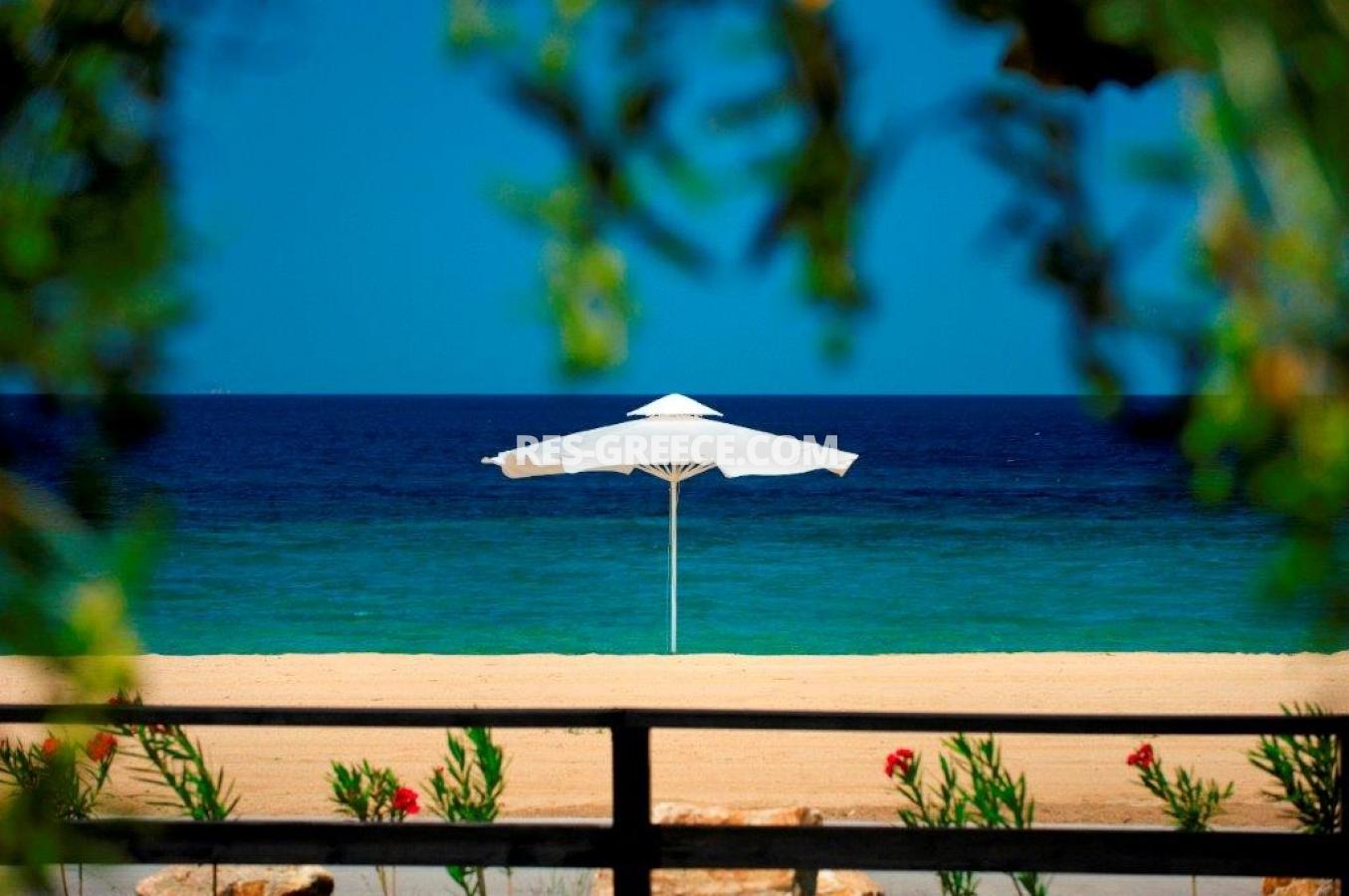 POSIDONAS Athos, Halkidiki-Athos, Greece - beachfront fully furnished 3 bedrooms apartment - Photo 15