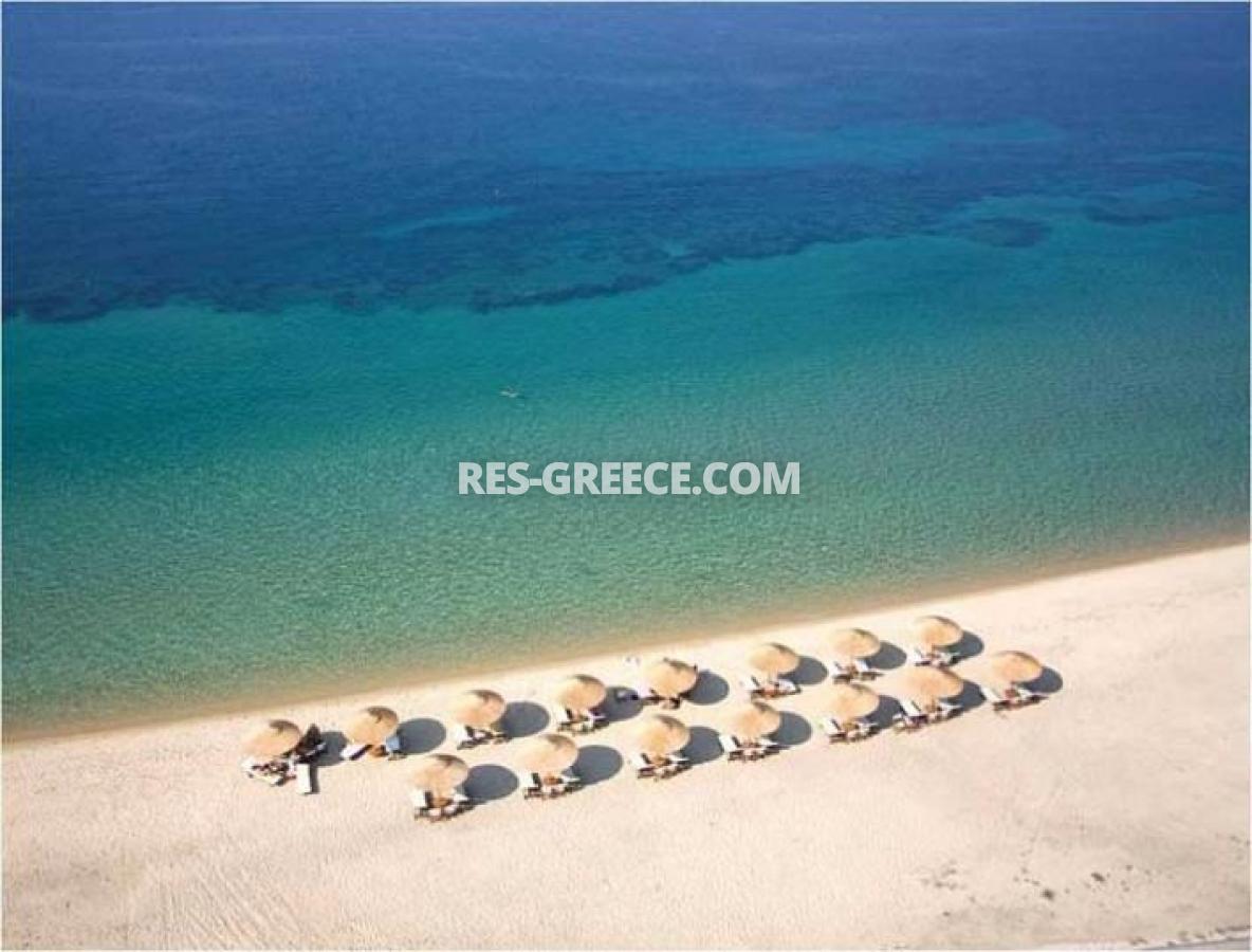 POSIDONAS Athos, Halkidiki-Athos, Greece - beachfront fully furnished 3 bedrooms apartment - Photo 17