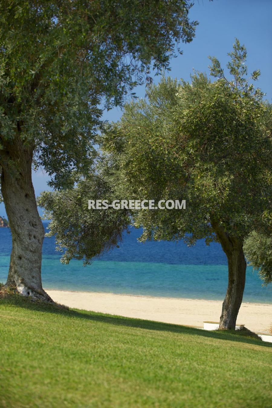 POSIDONAS Athos, Halkidiki-Athos, Greece - beachfront fully furnished 3 bedrooms apartment - Photo 34