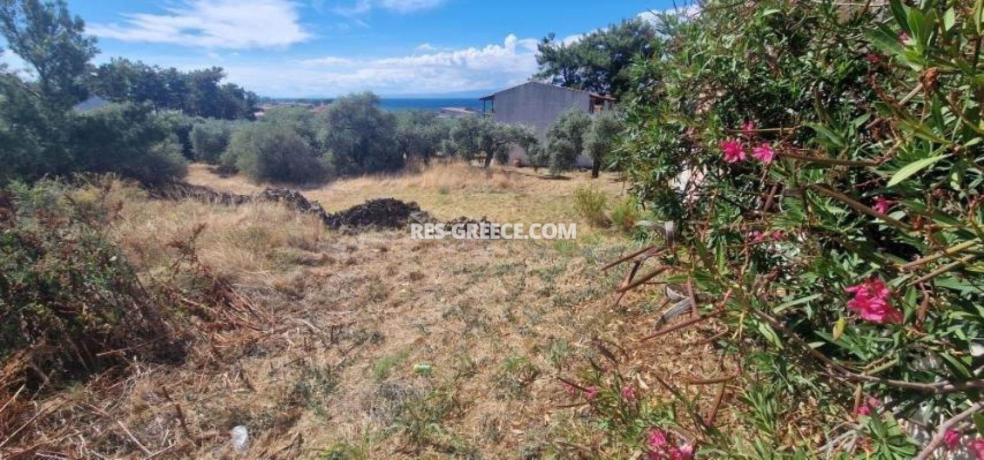 Land plot Thassos 13, Northern Aegean Islands, Greece - Landplot in Tassos for sale with good coefficient to built - Photo 6