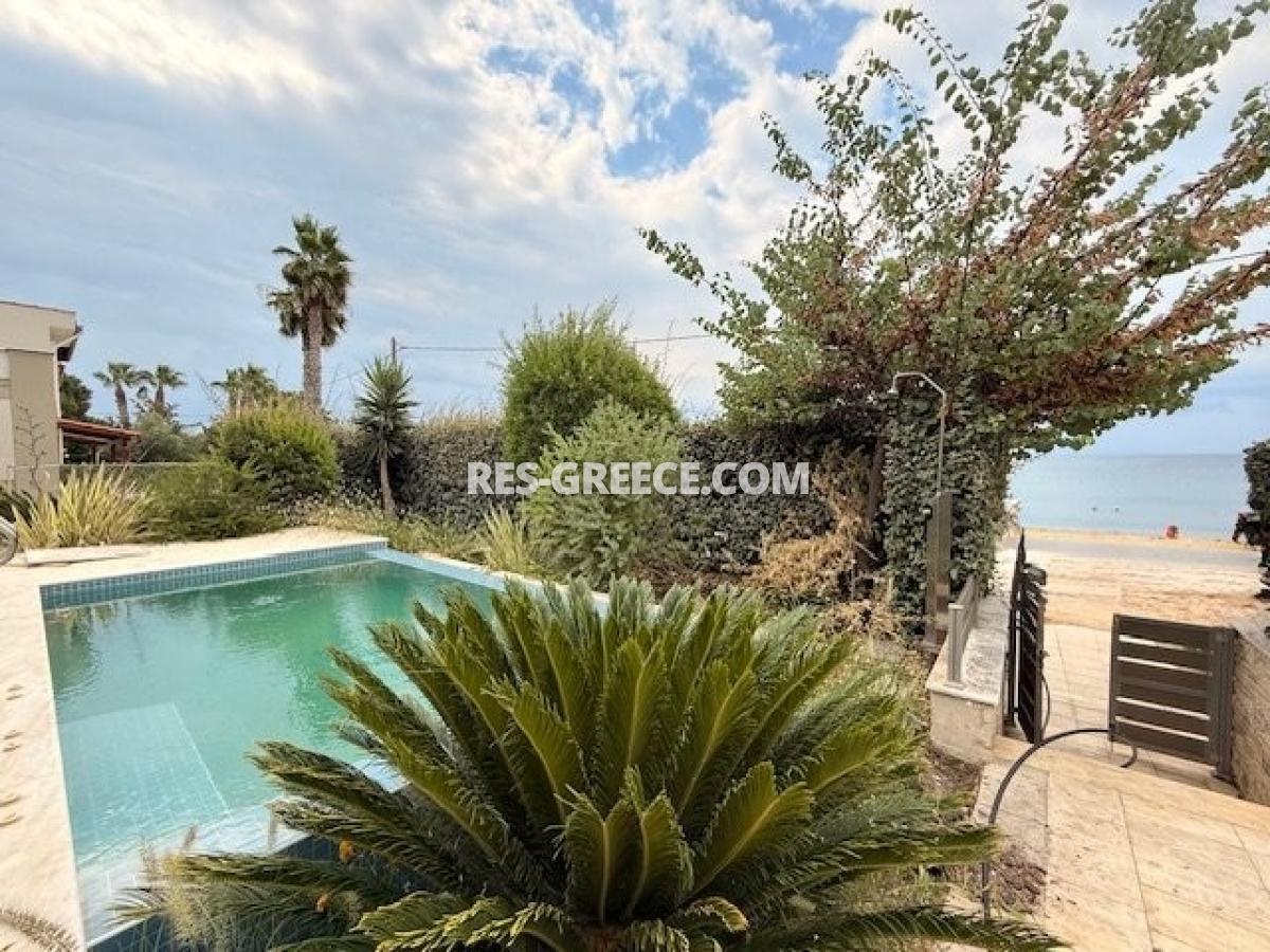 Villa Delfini, Nikiti, Greece - best seafront villa with pool in Nikiti, sitonia for sale, Photo 3