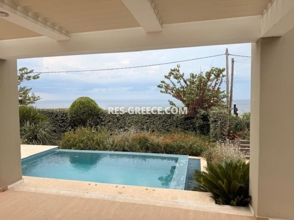 Villa Delfini, Nikiti, Greece - best seafront villa with pool in Nikiti, sitonia for sale, Photo 5