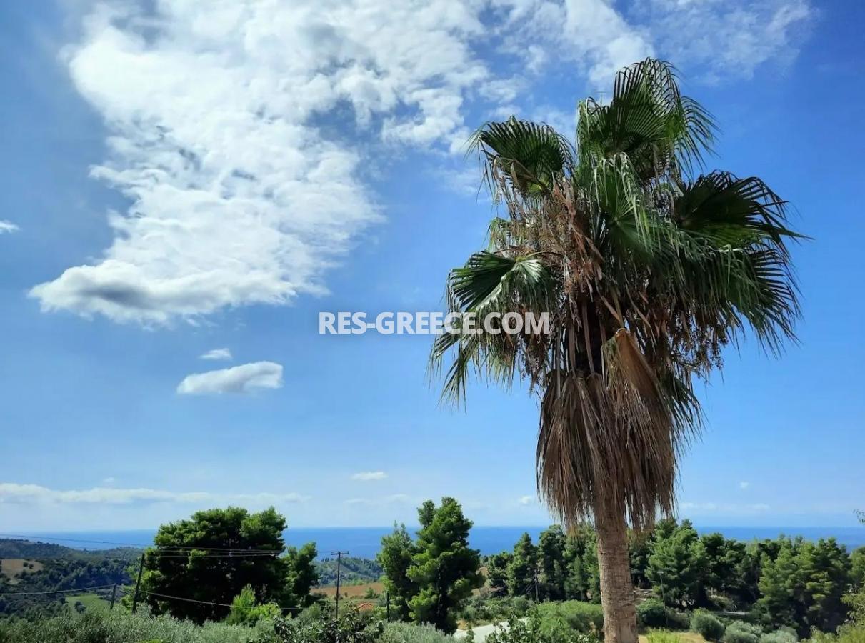 Driino, Nea Skioni, Greece - beautiful new villas with pools for vacation and Golden visas, Photo 3