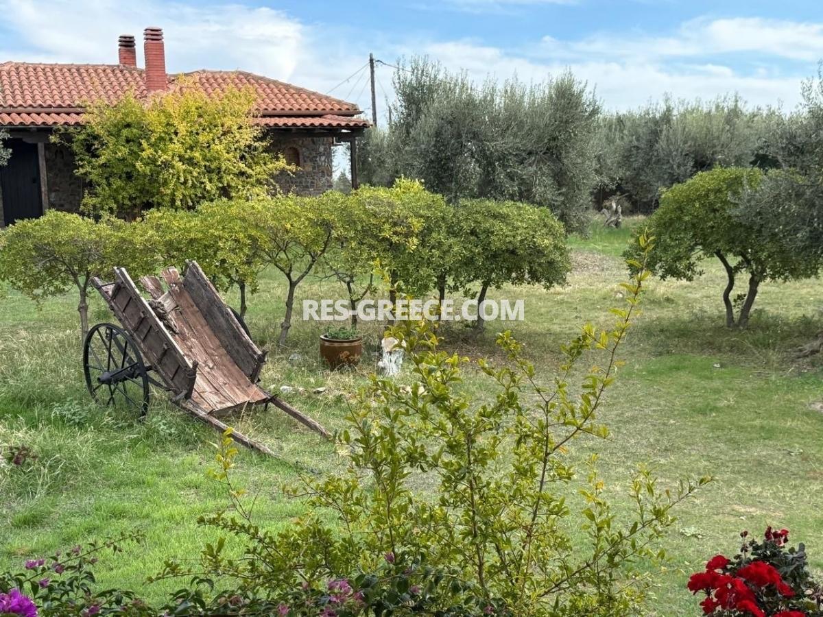 Ahtida, Halkidiki-Sithonia, Greece -  traditional greek villa with guest stone house and big 3000m2 garden - Photo 18