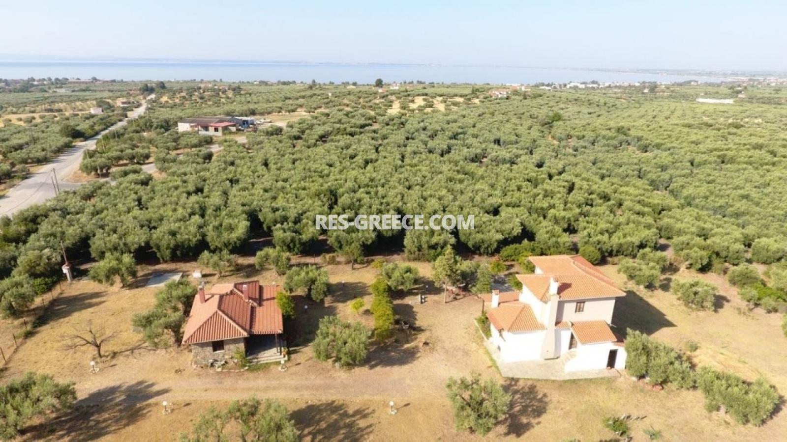 Ahtida, Halkidiki-Sithonia, Greece -  traditional greek villa with guest stone house and big 3000m2 garden - Photo 17