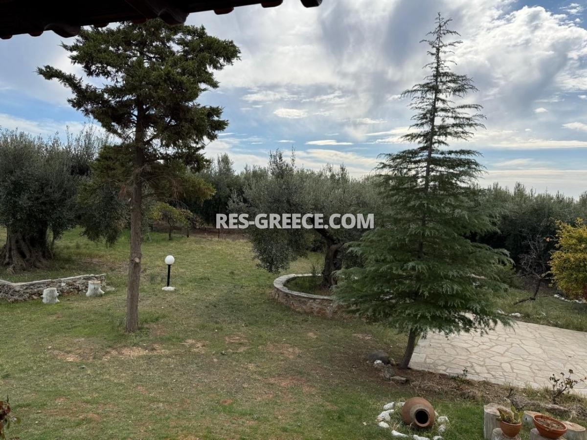 Ahtida, Halkidiki-Sithonia, Greece -  traditional greek villa with guest stone house and big 3000m2 garden - Photo 30