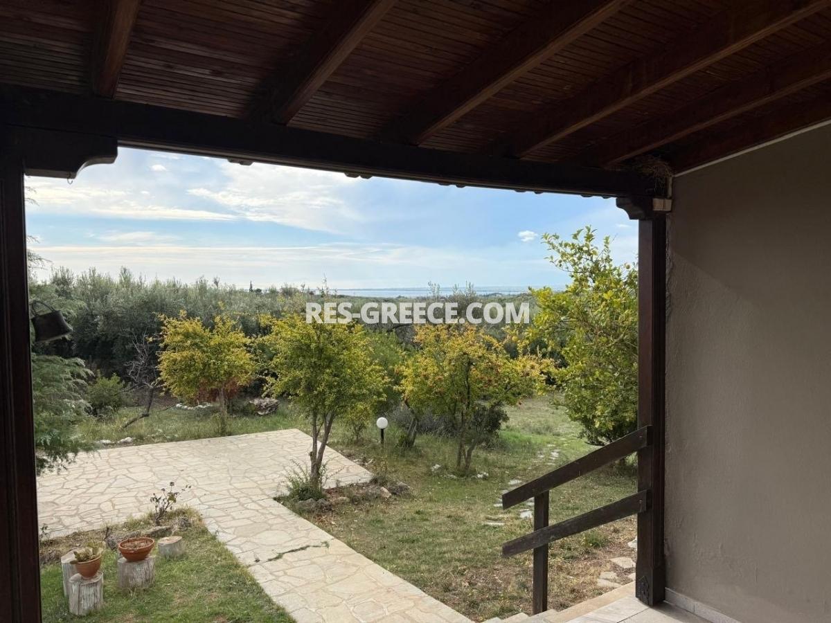 Ahtida, Halkidiki-Sithonia, Greece -  traditional greek villa with guest stone house and big 3000m2 garden - Photo 19