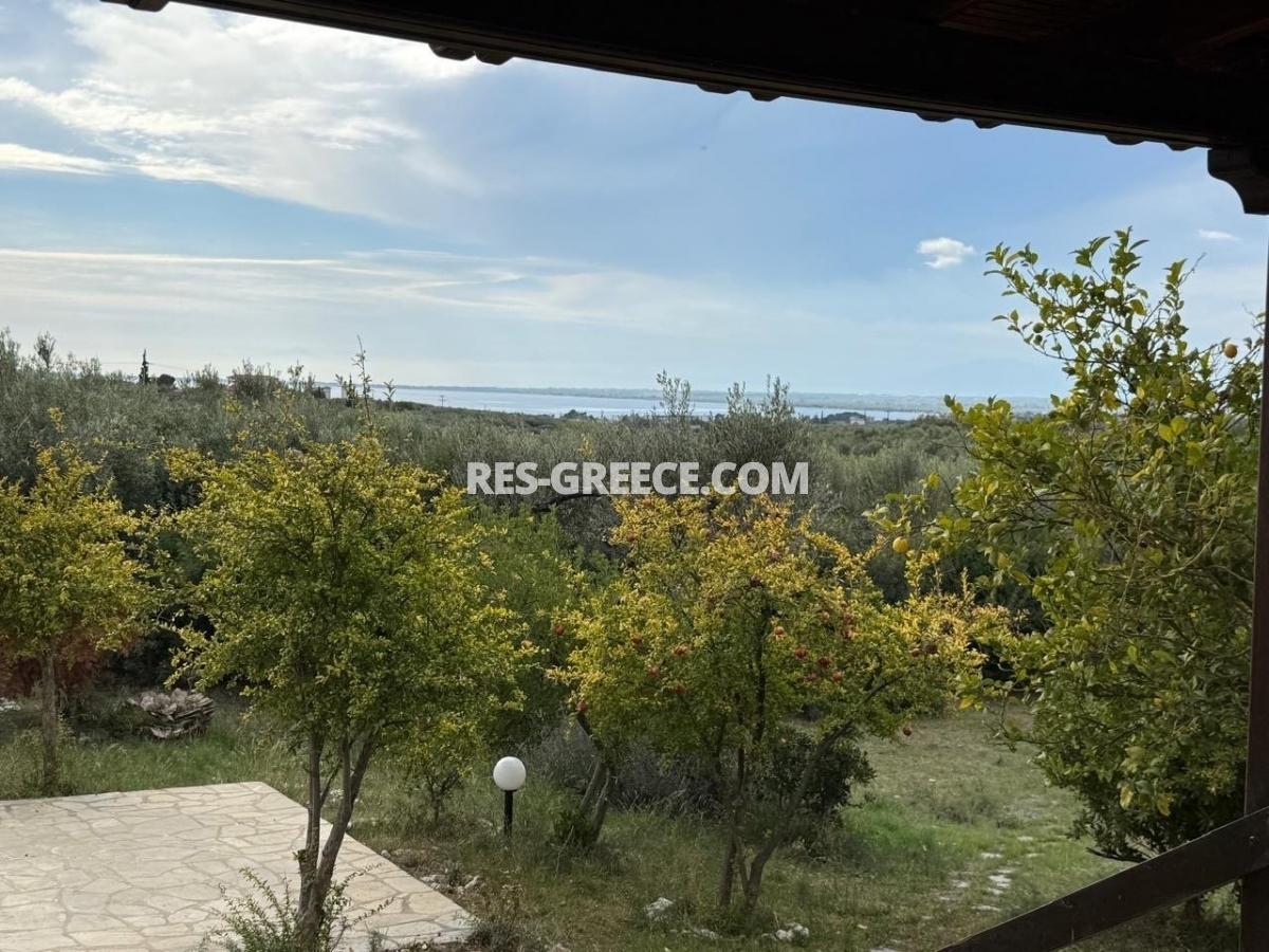 Ahtida, Halkidiki-Sithonia, Greece -  traditional greek villa with guest stone house and big 3000m2 garden - Photo 14