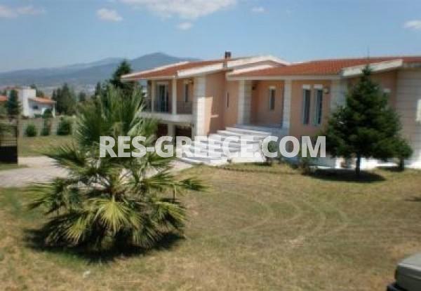 Villa Tagarages, Central Macedonia, Greece -  - Photo 13